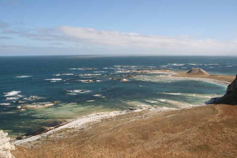 Nieuw-Zeeland 2011 - 1140